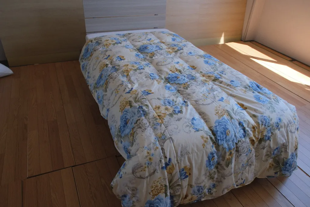 肌掛け羽毛掛け布団 春夏