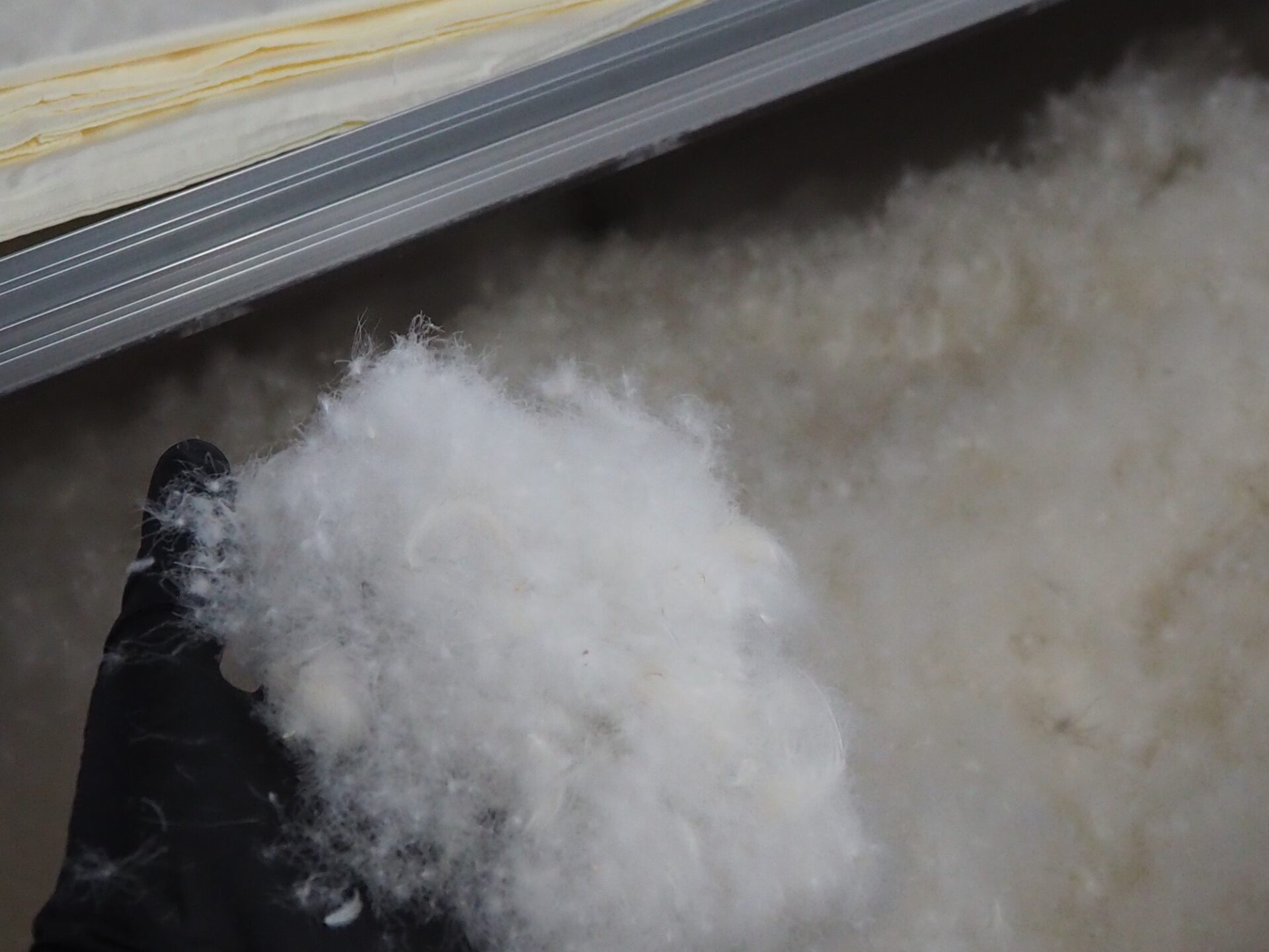 寒さ到来も布団で我慢型節電！布団で暖かさを保つポイント