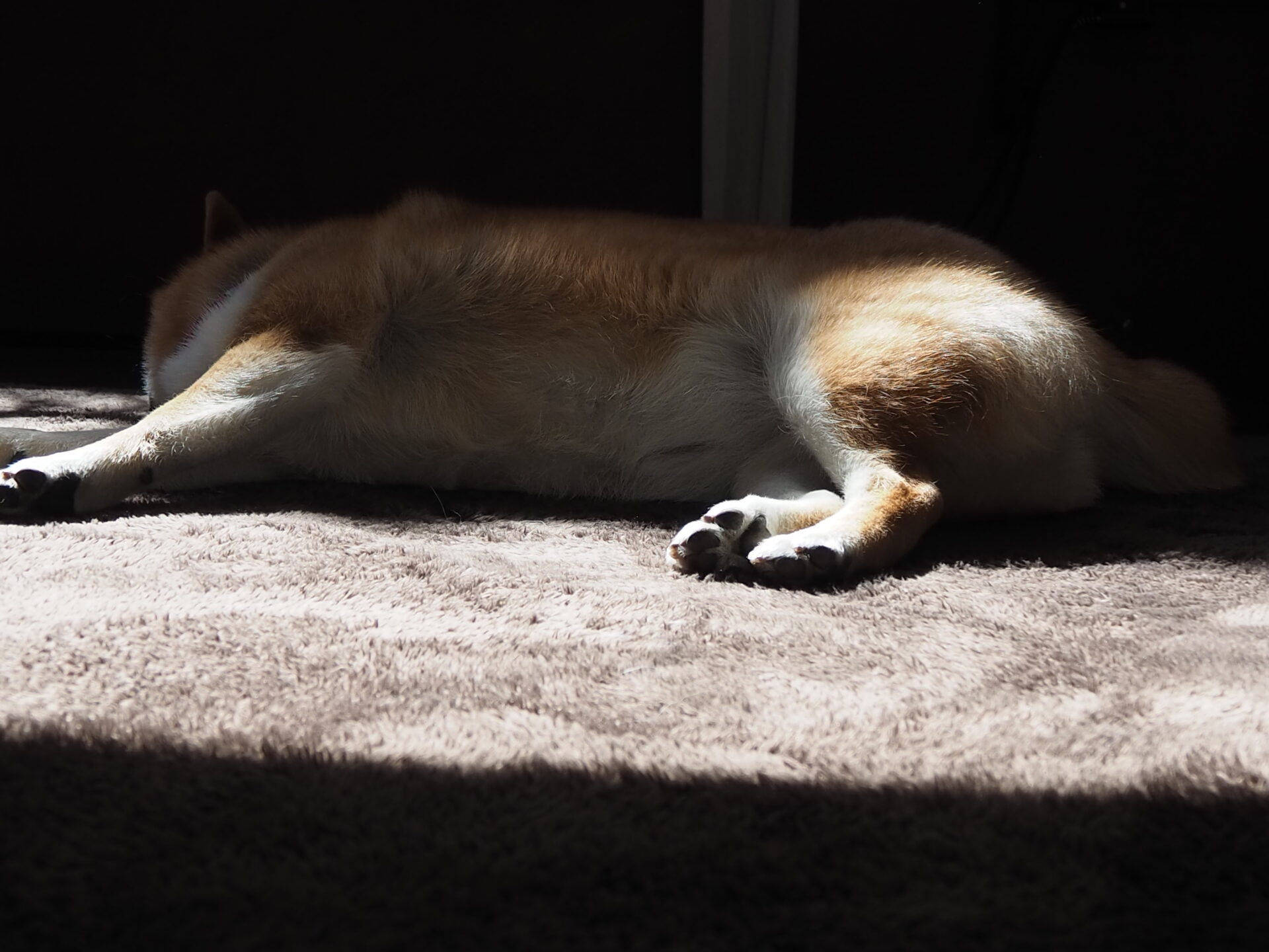 理想の睡眠時間は何時間ですか?